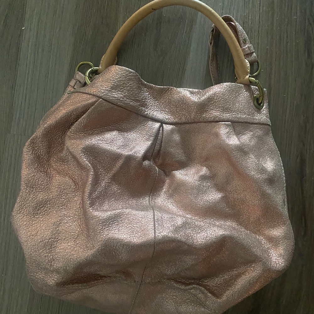 J Crew metallic leather purse